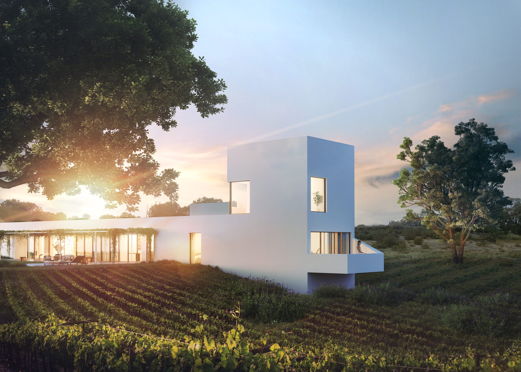 A casa sobre a vinha ao pôr-do-sol