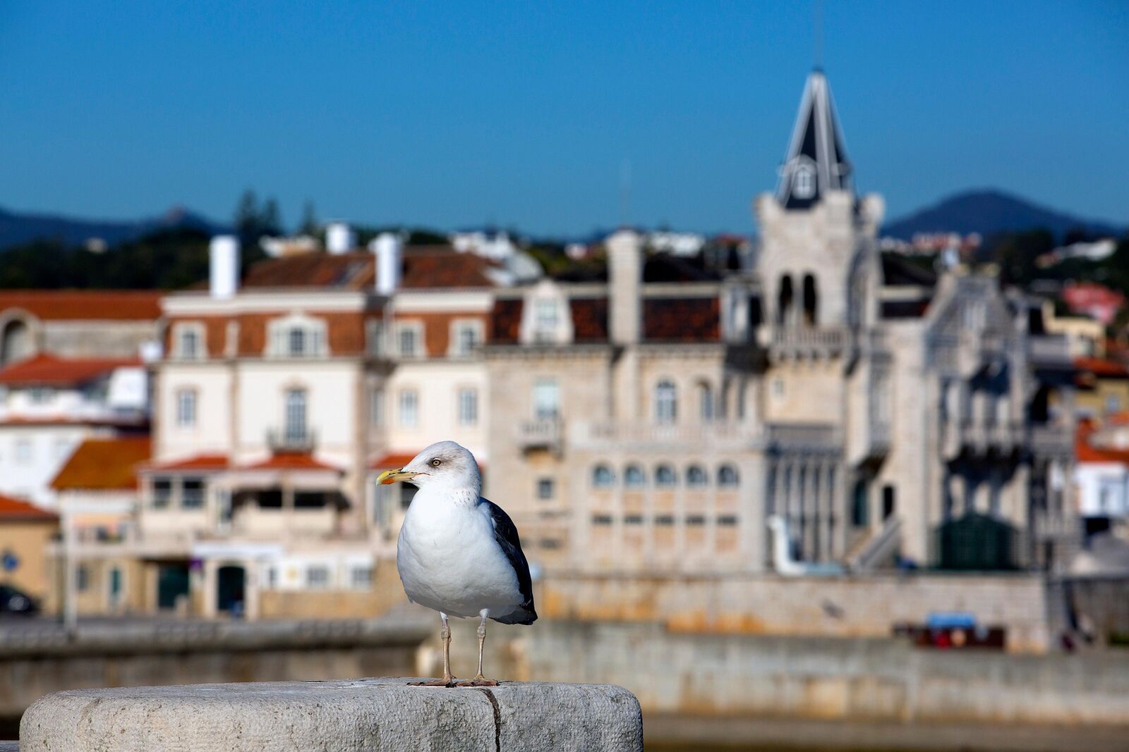 Baía de Cascais