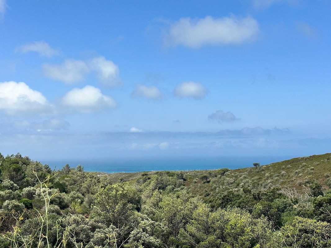 Vista sobre o verde até ao mar